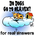 Do dogs go to heaven?